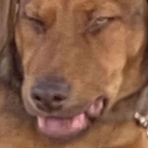 Meet your Posher, Hope